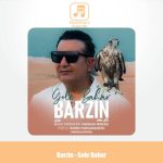 دانلود آهنگ برزین گل بهار