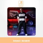 دانلود آهنگ دی جی کوین زد آر هات کلد ۵