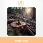 دانلود آهنگ مقصد ریبورن (تولد دوباره)