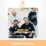 دانلود آهنگ مهدی بابایی دیوونه شهر