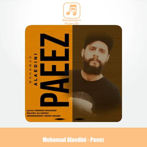 دانلود آهنگ محمد علاءالدینی پاییز