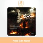 دانلود آهنگ پیمان باقی نمرود