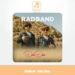 دانلود آهنگ برادران رادبند دونه دونه