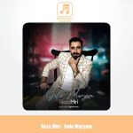 دانلود آهنگ رضا میری گل مریم