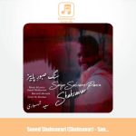 دانلود آهنگ سعید شهسواری سنگ صبورِ پاییز (شهسوار) دانلود آهنگ سعید شهسواری سنگ صبورِ پاییز (شهسوار)