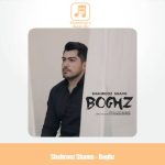 دانلود آهنگ شهروز شمس بغض