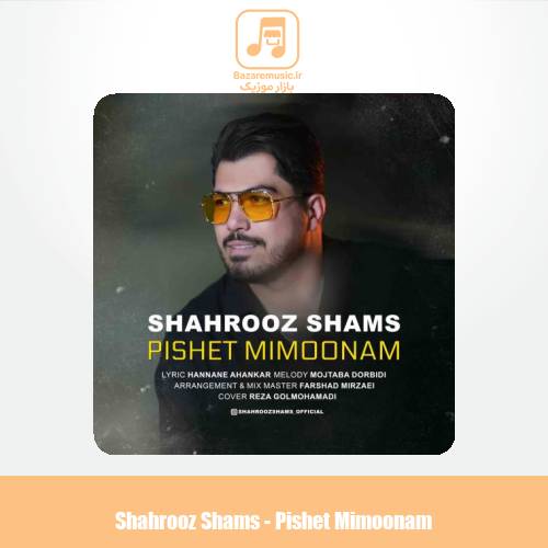 دانلود آهنگ شهروز شمس پیشت میمونم