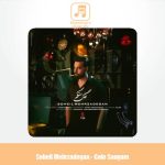 دانلود آهنگ سهیل مهرزادگان گل سنگم