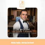 دانلود آهنگ افشین تنها دل اگه دل بود