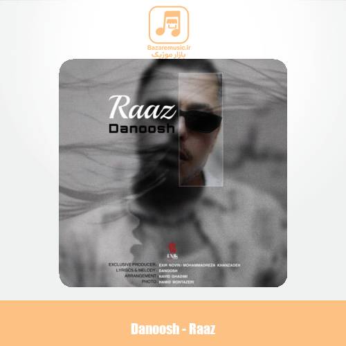 دانلود آهنگ دانوش راز