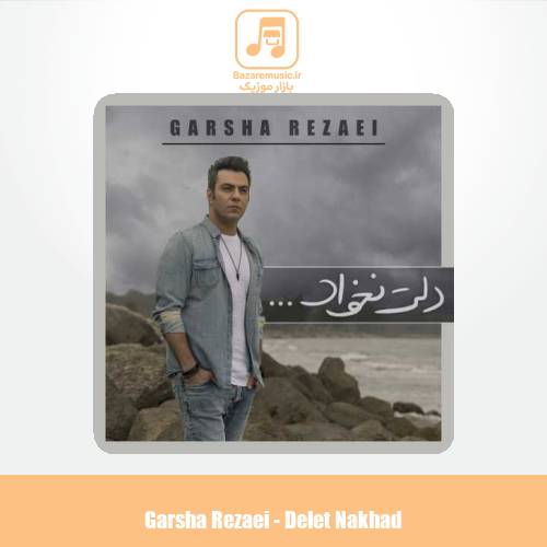 دانلود آهنگ گرشا رضایی دلت نخواد