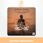 دانلود آهنگ گرشا رضایی دیوونه ی دیوونه