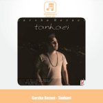 دانلود آهنگ گرشا رضایی تنهایی