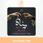 دانلود آهنگ محسن چاوشی پناه