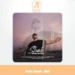 دانلود آهنگ ناصر زینلی شب (ناصر زینعلی) دانلود آهنگ ناصر زینلی شب (ناصر زینعلی)