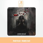 دانلود آهنگ امید سزار نقطه ضعف