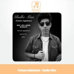 دانلود آهنگ پرهام آقاخانی قلب من دانلود آهنگ پرهام آقاخانی قلب من