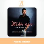 دانلود آهنگ پیام کیا دلم رفت