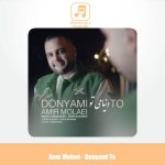 دانلود آهنگ امیر مولایی دنیامی تو