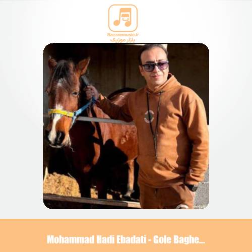 دانلود آهنگ محمد هادی عبادتی گل باغ شیراز
