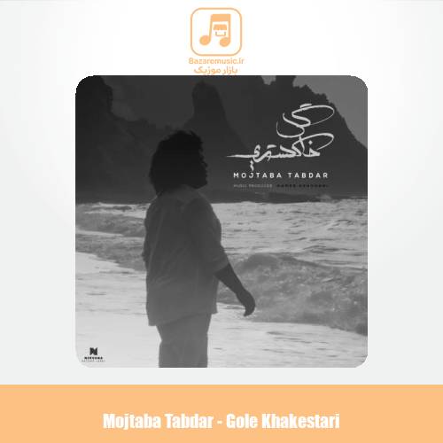 دانلود آهنگ مجتبی تابدار گل خاکستری
