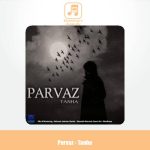 دانلود آهنگ پرواز تنها