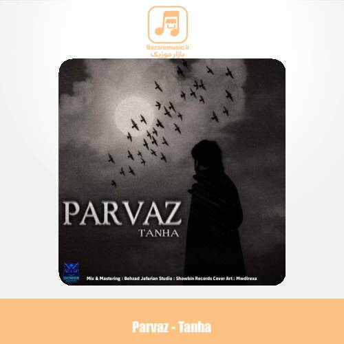 دانلود آهنگ پرواز تنها