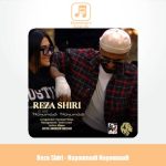 دانلود آهنگ رضا شیری نیومدی نیومدی