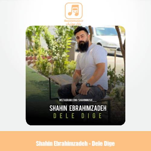 دانلود آهنگ شاهین ابراهیم زاده دل دیگه