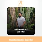 دانلود آهنگ شاهین ابراهیم زاده گرگ و میش