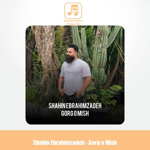 دانلود آهنگ شاهین ابراهیم زاده گرگ و میش