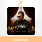 دانلود آهنگ شنطیا لطفی تنهایی