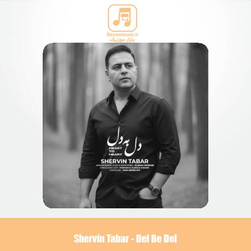 دانلود آهنگ شروین تبار دل به دل