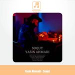 دانلود موزیک ویدیو یاسین احمدی سقوط