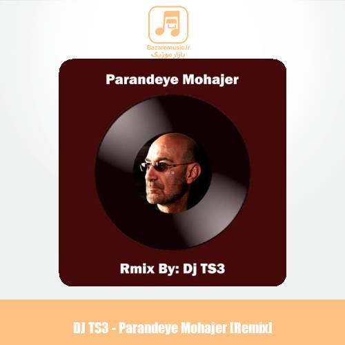 دانلود آهنگ Dj TS3 ریمیکس پرنده مهاجر (سیاوش قمیشی)