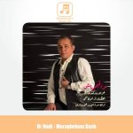 دانلود آهنگ دکتر هادی مراقبم باش