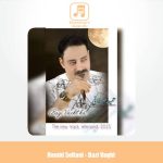 دانلود آهنگ حمید سلطانی بعضی وقتا