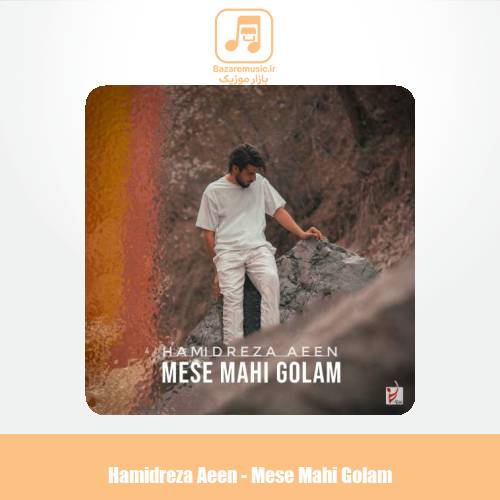 دانلود آهنگ حمیدرضا آیین مثه ماهی گلم