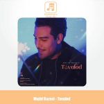 دانلود آهنگ مجید رضوی تولد