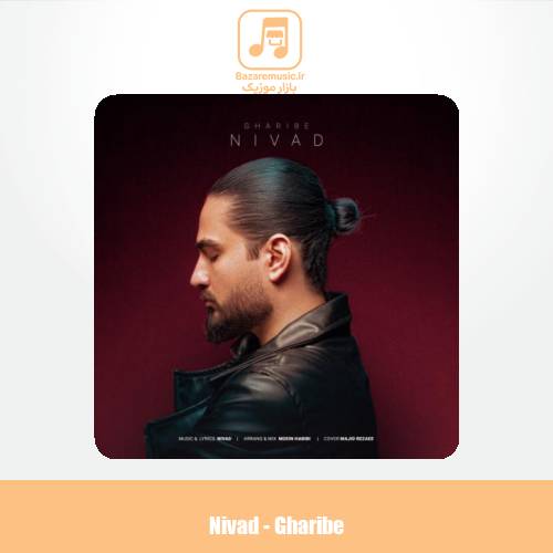 دانلود آهنگ نیواد غریبه