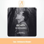 دانلود آهنگ سام بی هنارس (ریمیکس)