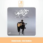 دانلود آهنگ شاهین راستین گل قلبم