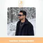 دانلود آهنگ توحید ناصری دوردونه ی قلبم