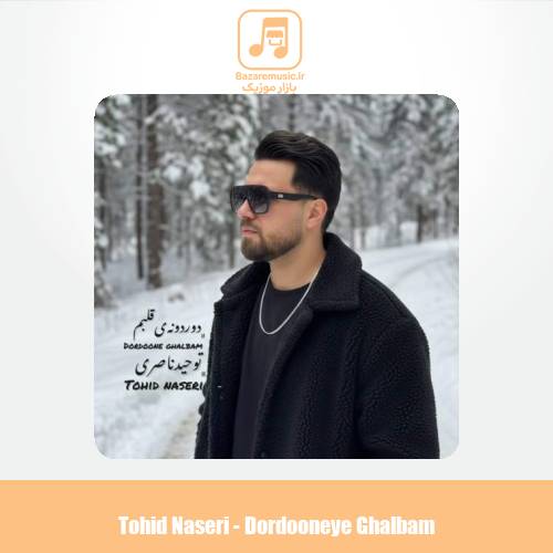 دانلود آهنگ توحید ناصری دوردونه ی قلبم