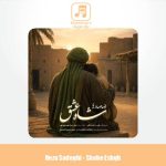 دانلود آهنگ رضا صادقی شاه عشق