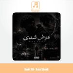 دانلود آهنگ امیر ار تی ال عوض شدی