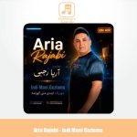 دانلود آهنگ آریا رجبی ایندی منی گوزلمه