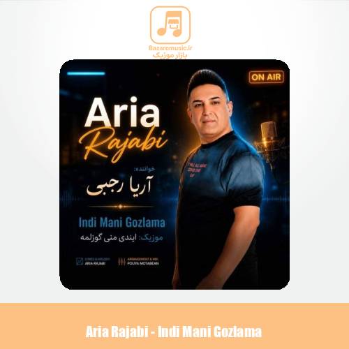 دانلود آهنگ آریا رجبی ایندی منی گوزلمه