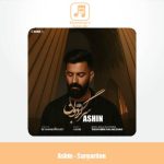 دانلود آهنگ آشین سرگردون