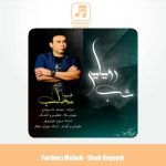 دانلود آهنگ فریبرز محاب شب رویایی